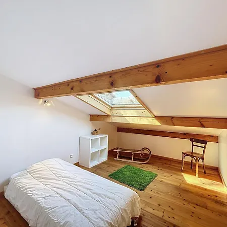Chalet 9 Personnes A Combloux, Mont Blanc - Fr-1-560-125